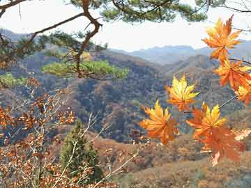 加拿大周大福遭抢，保安袖手旁观